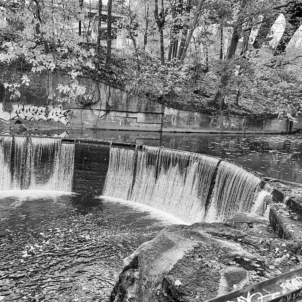 Best Hiking Trails in Dundalk MD