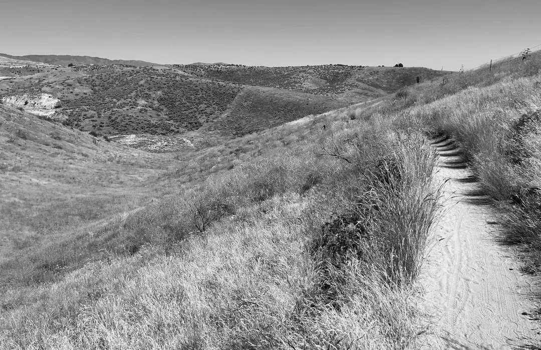 Best Hiking Trails in Eagle ID