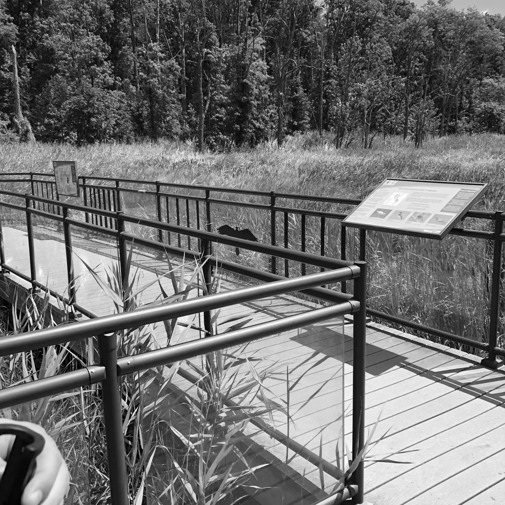 Best Hiking Trails in Elizabeth NJ