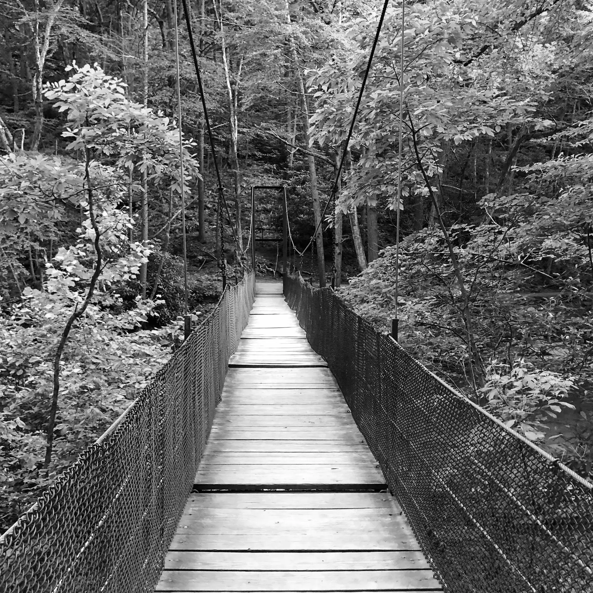 Best Hiking Trails in Erie PA