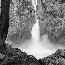 Best Hiking Trails in Eugene OR