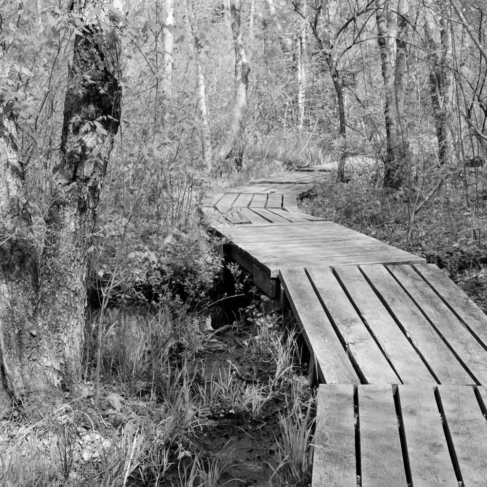 Best Hiking Trails in Fall River MA
