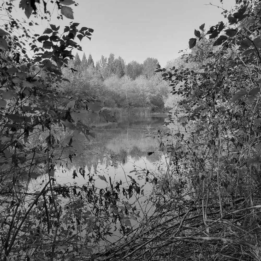 Best Hiking Trails in Federal Way WA