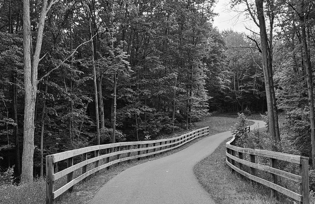 Best Hiking Trails in Flint MI