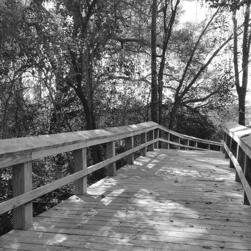 Best Hiking Trails in Florence SC