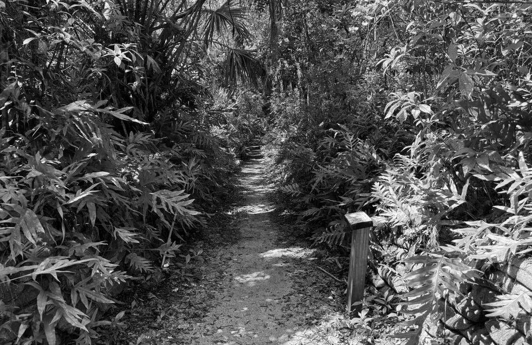 Best Hiking Trails in Fort Lauderdale FL
