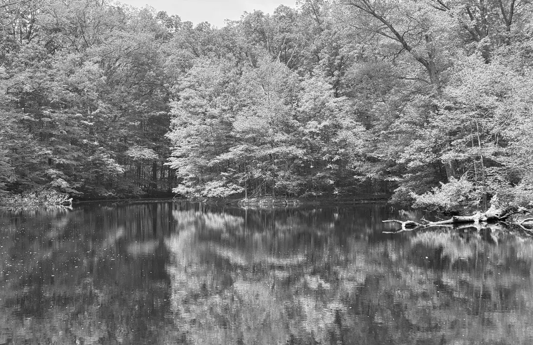 Best Hiking Trails in Fort Wayne IN