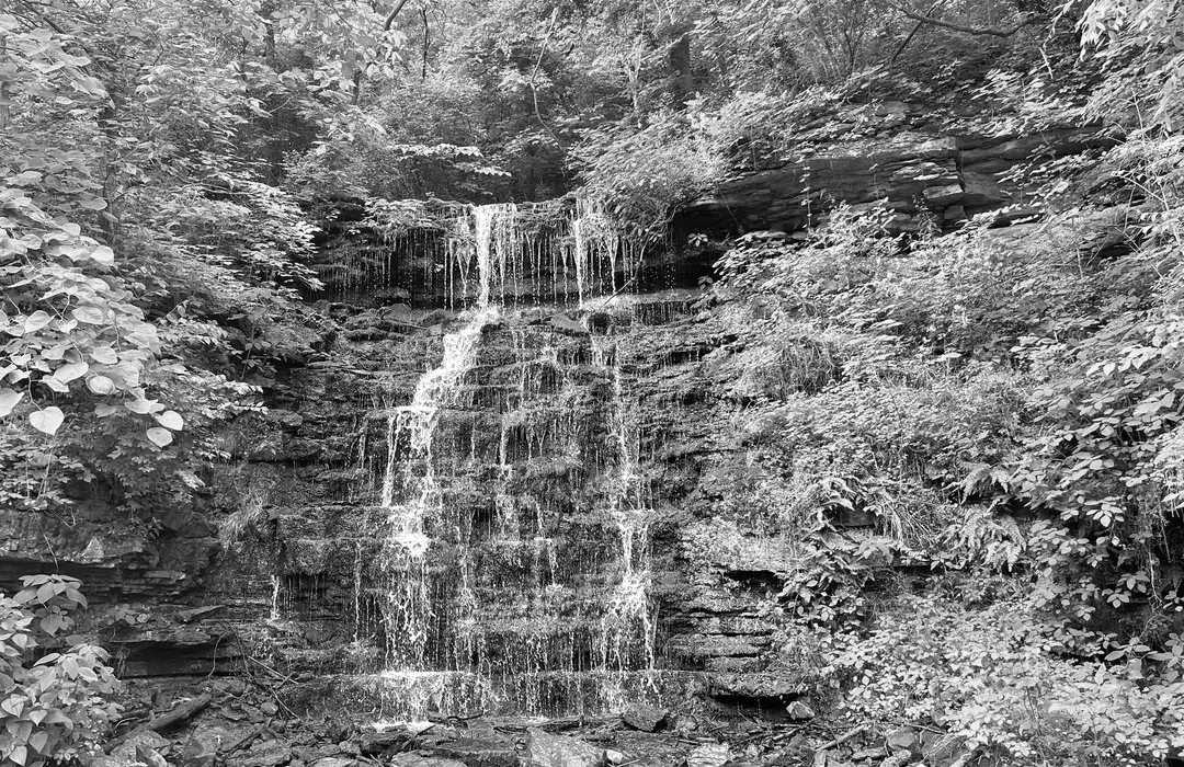 Best Hiking Trails in Frankfort KY