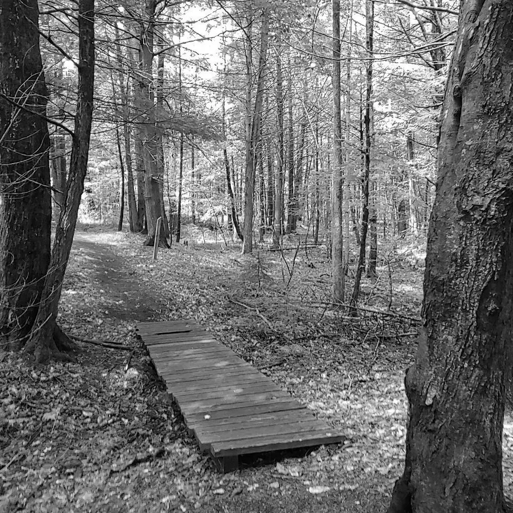 Best Hiking Trails in Gorham ME