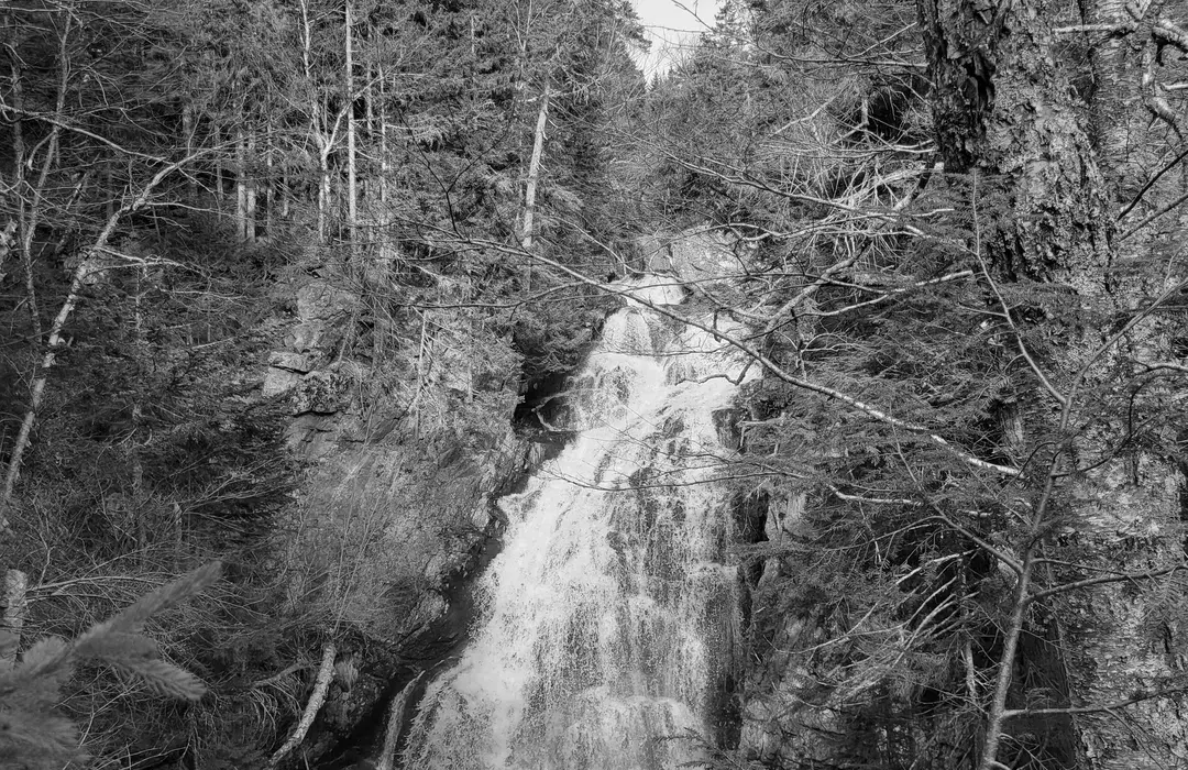 Best Hiking Trails in Gorham NH