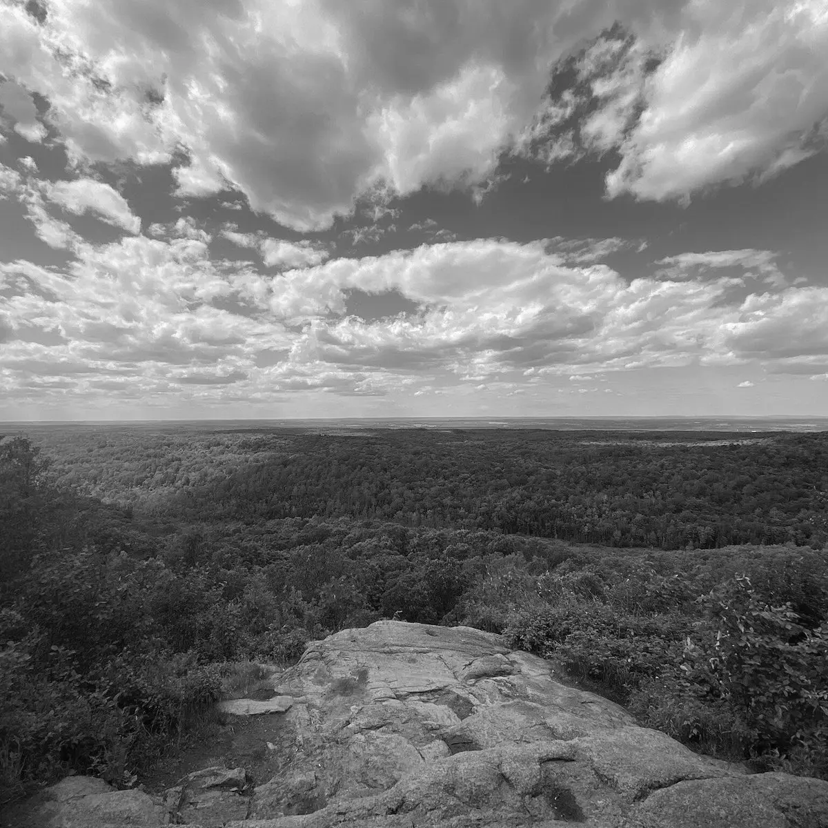 Best Hiking Trails in Green Bay WI