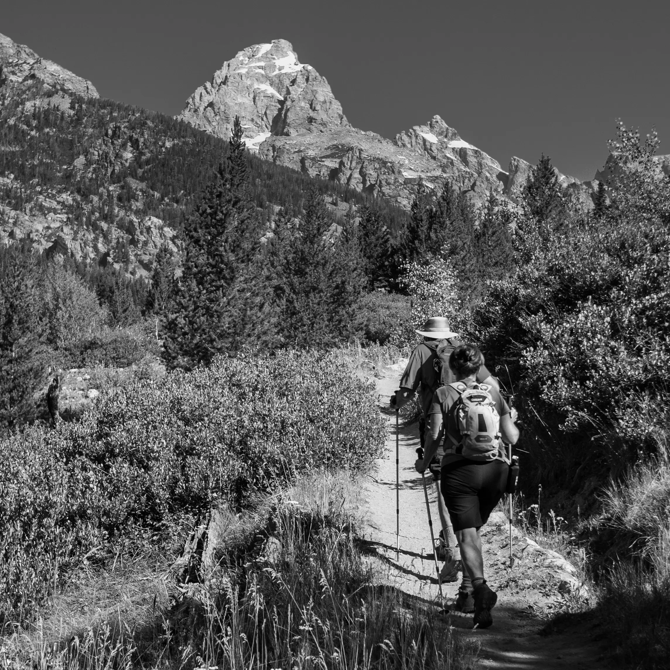 Best Hiking Trails in Green River WY