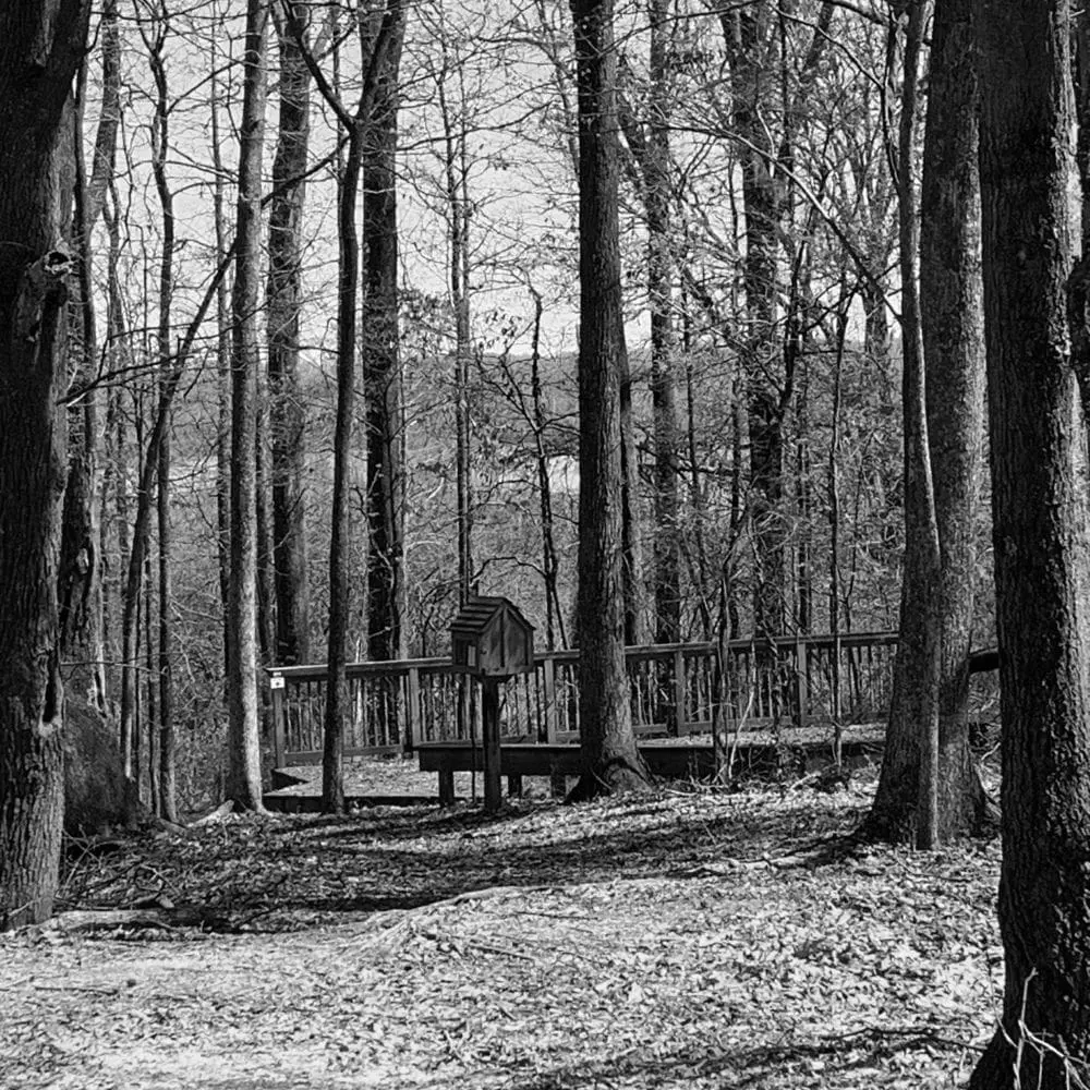 Best Hiking Trails in Greenville MS