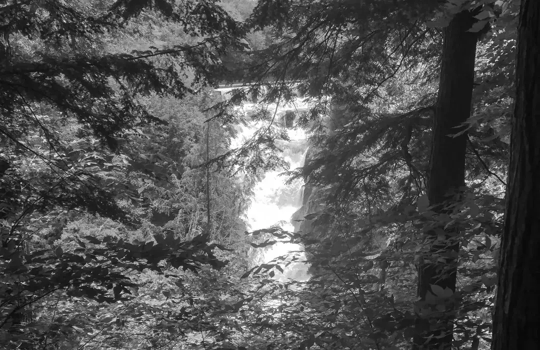 Best Hiking Trails in Greenwich NY