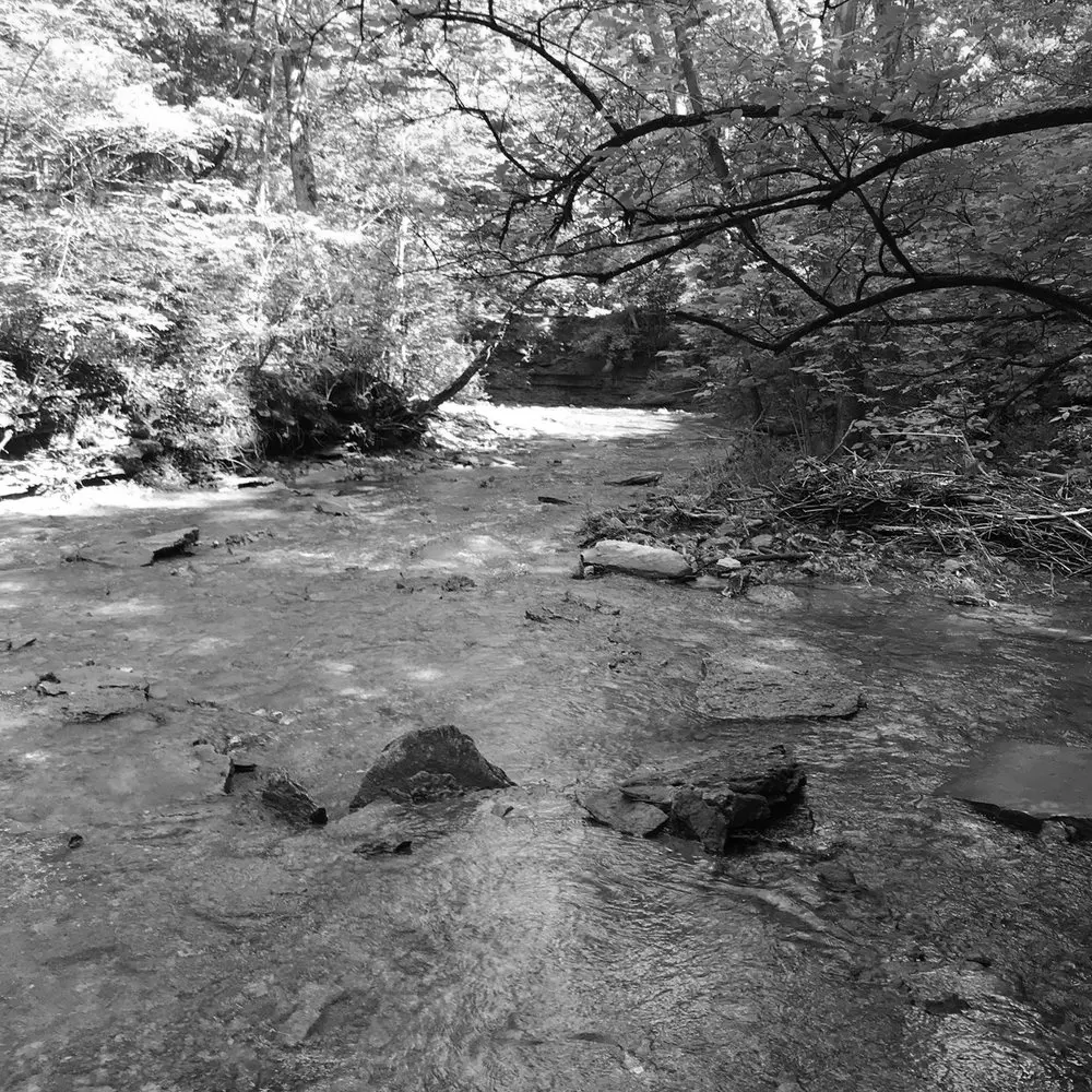 Best Hiking Trails in Hamilton OH