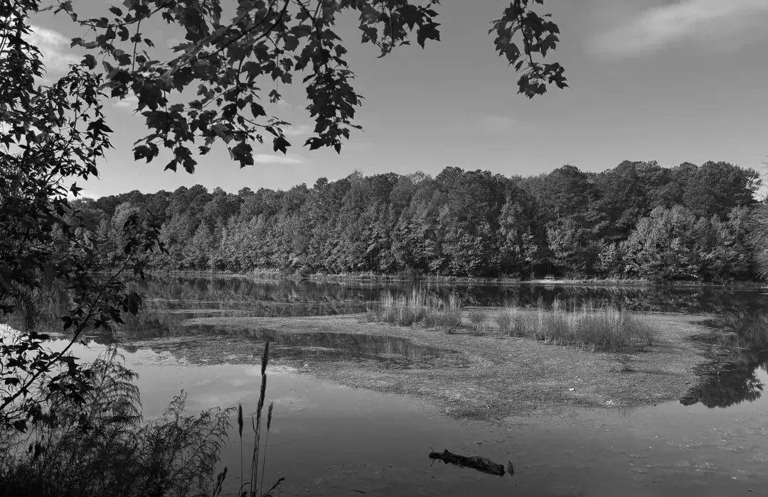 Best Hiking Trails in Hampton, VA
