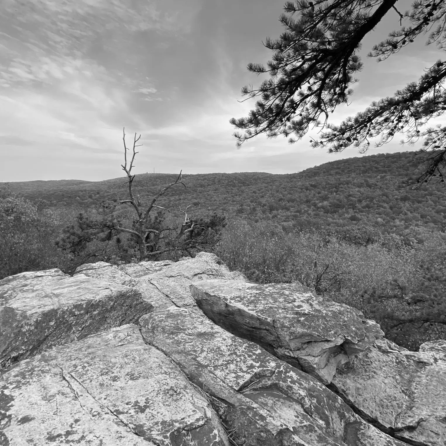 Best Hiking Trails in Harrisburg PA