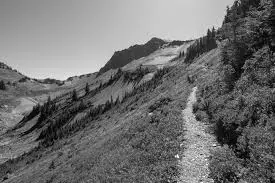 Best Hiking Trails in Hayden WA