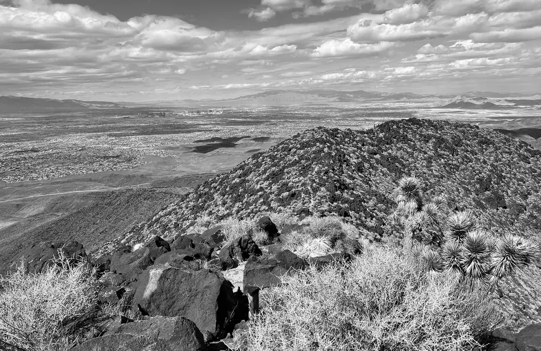Best Hiking Trails in Henderson IN