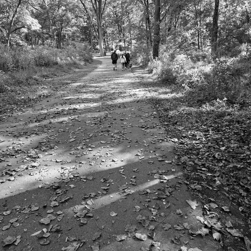 Best Hiking Trails in Hendersonville TN