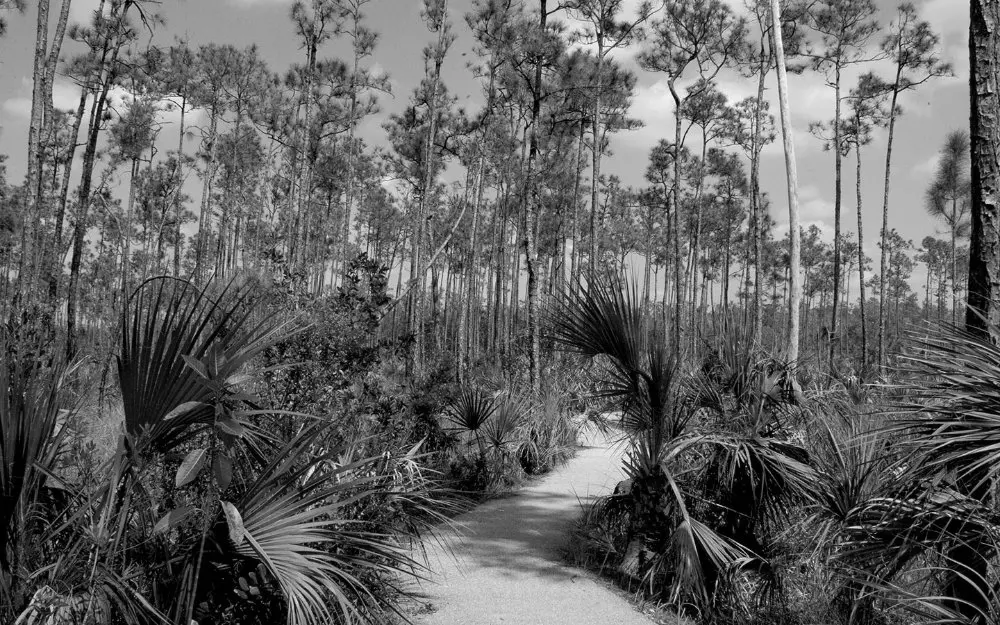 Best Hiking Trails in Hialeah FL