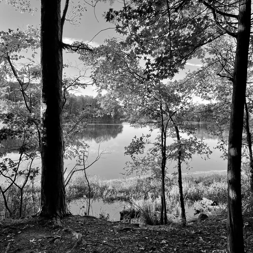 Best Hiking Trails in High Point NC