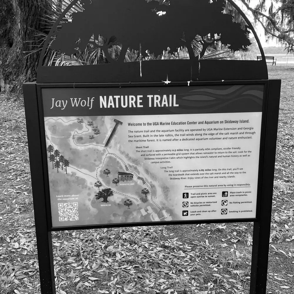 Best Hiking Trails in Hilton Head Island SC