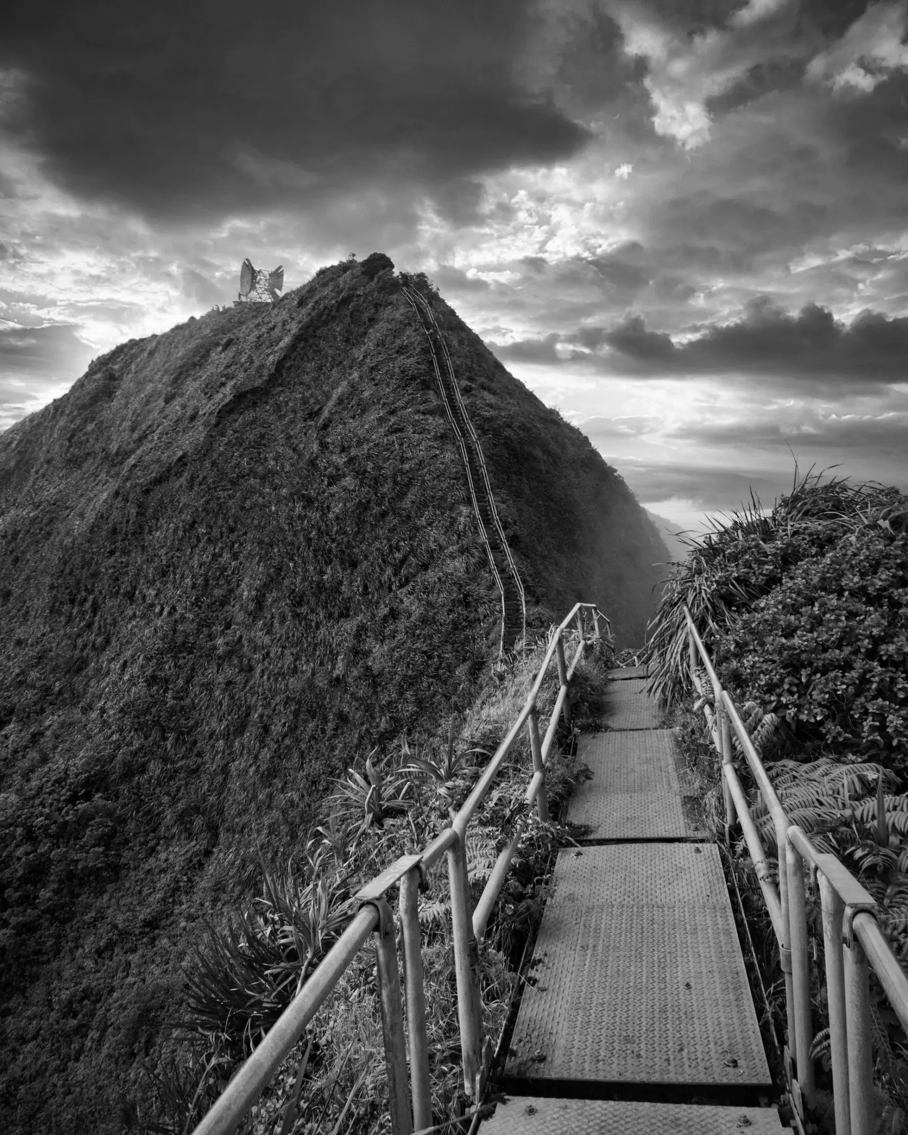 Best Hiking Trails in Honolulu HI