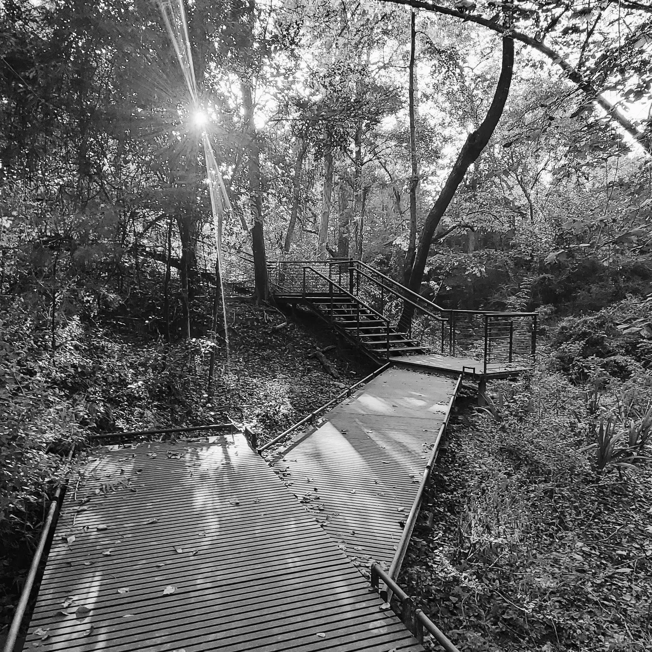 Best Hiking Trails in Houston TX