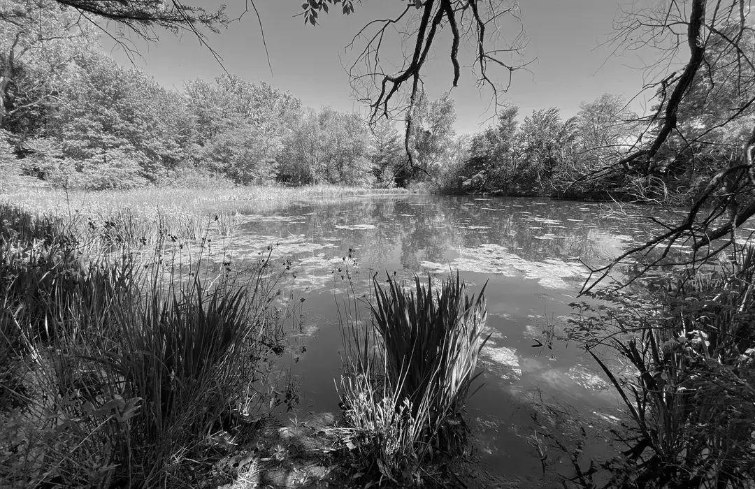Best Hiking Trails in Hutchinson KS