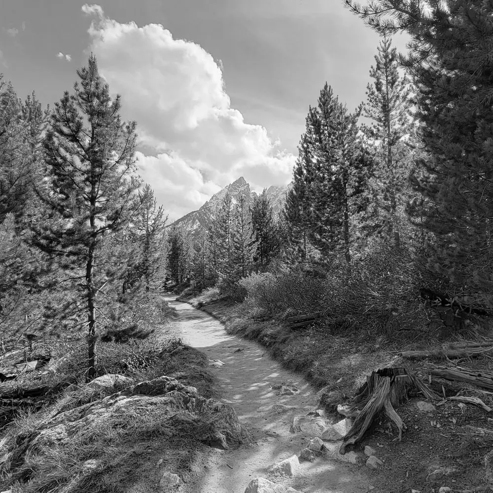Best Hiking Trails in Jackson ID