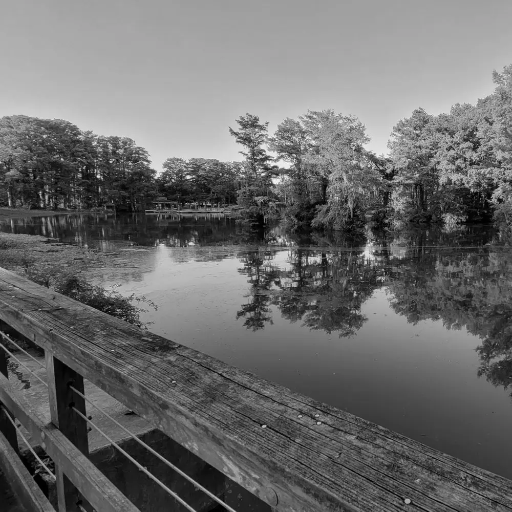 Best Hiking Trails in Jacksonville NC