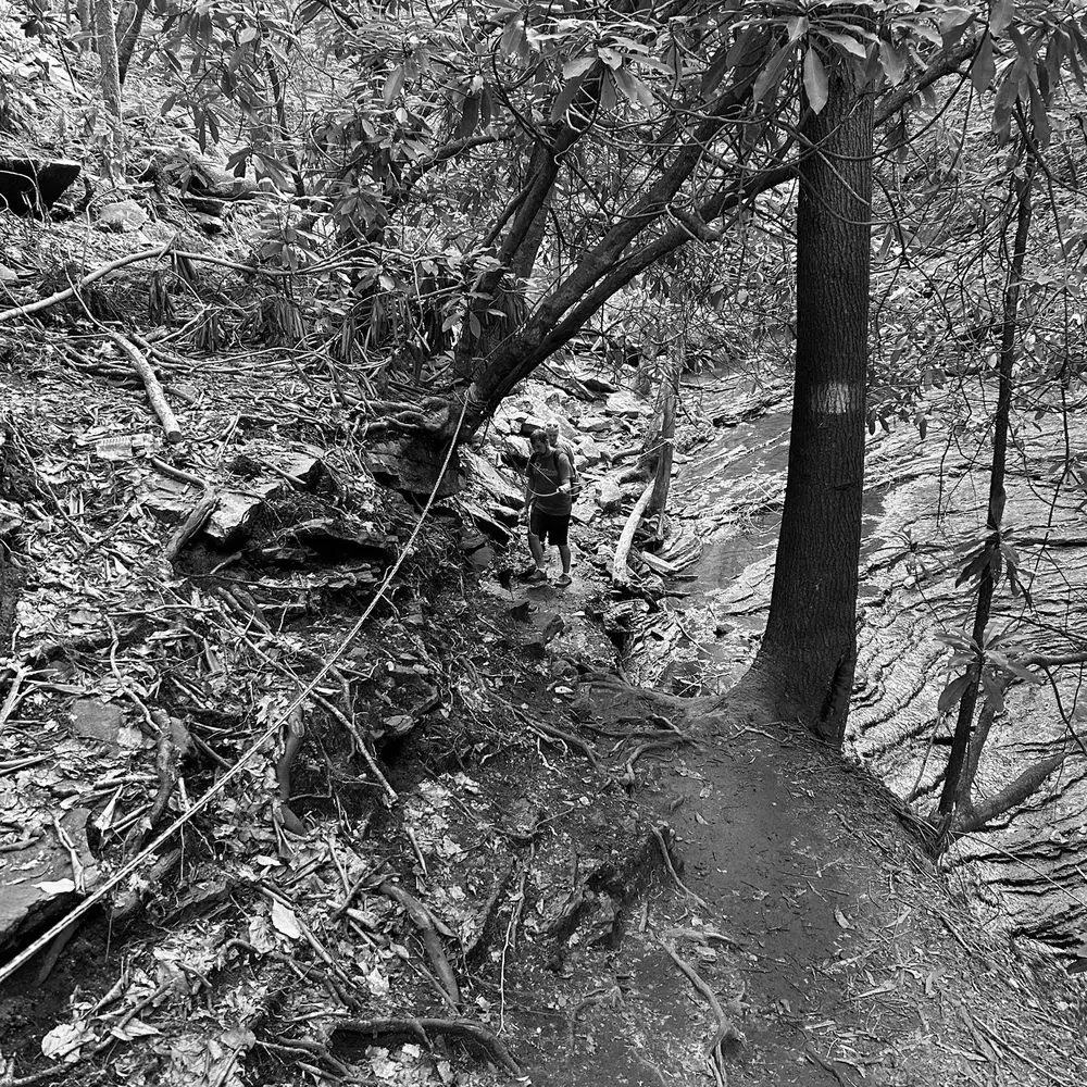Best Hiking Trails in Kingsport VA