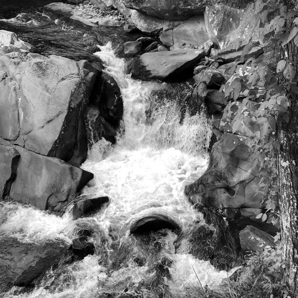 Best Hiking Trails in Knoxville TN