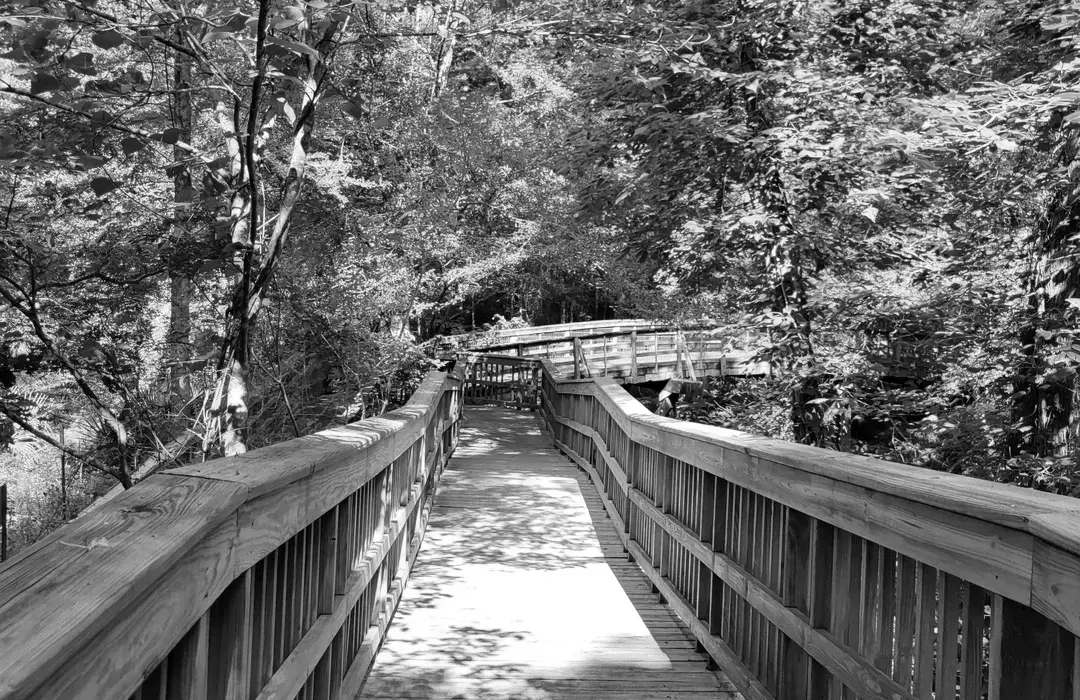 Best Hiking Trails in Lafayette IN