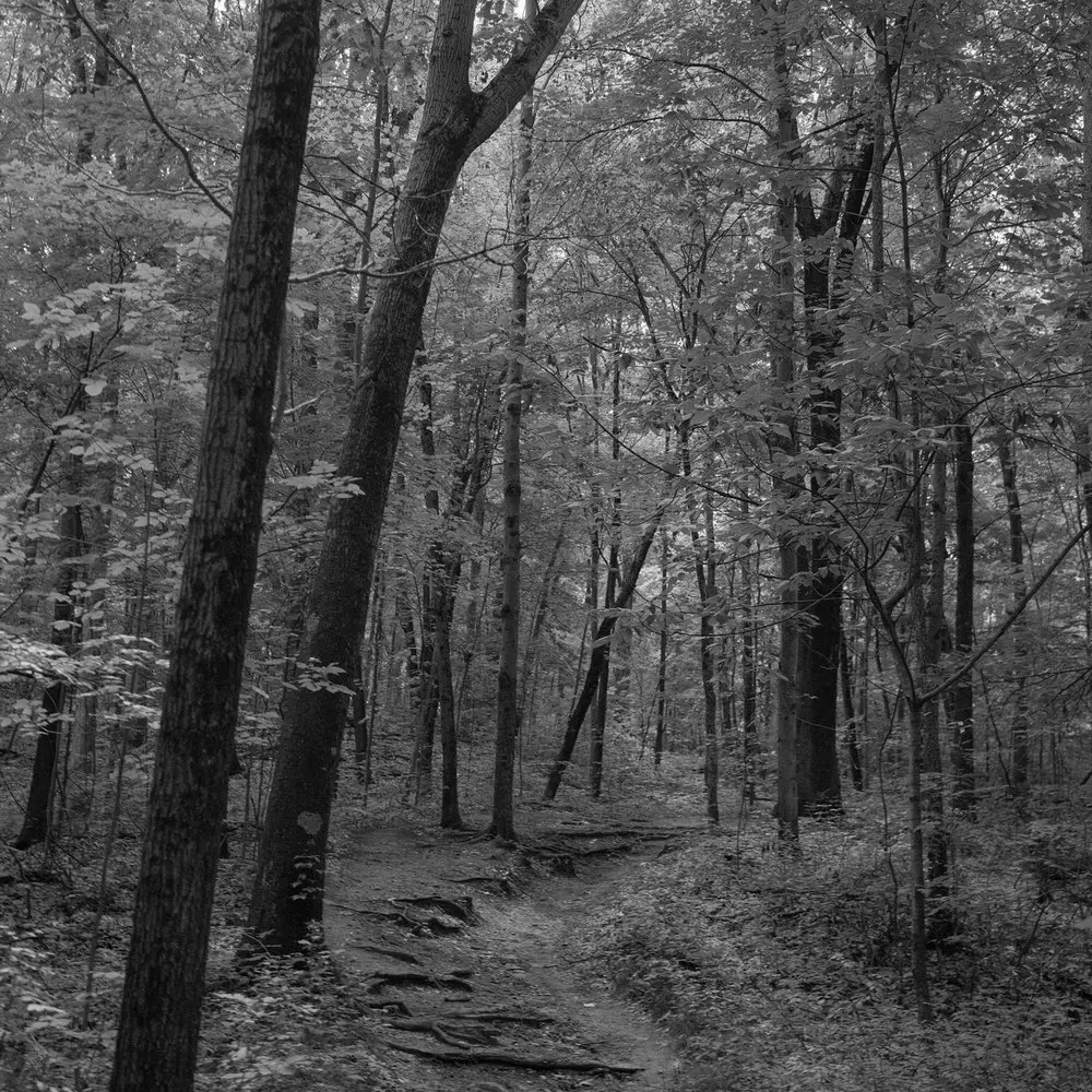 Best Hiking Trails in Lansing MI