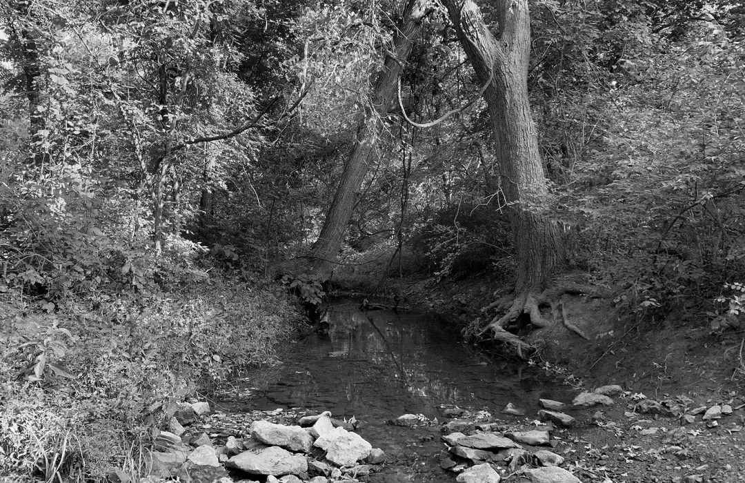 Best Hiking Trails in Lenexa KS