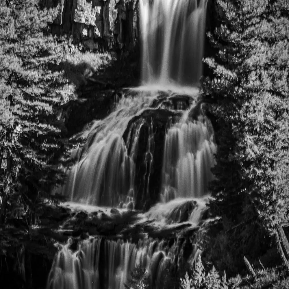 Best Hiking Trails in Livingston MT
