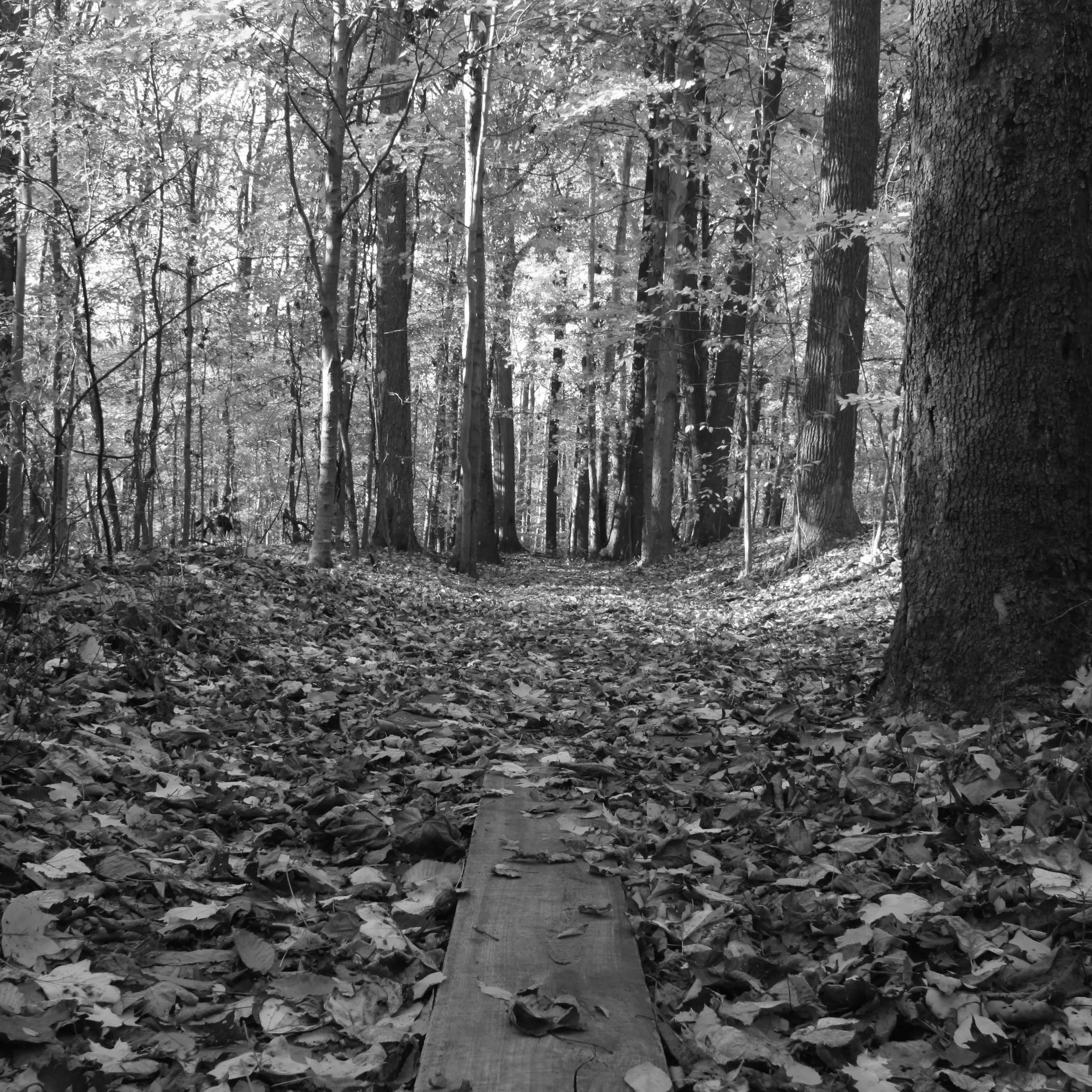 Best Hiking Trails in Lorain OH