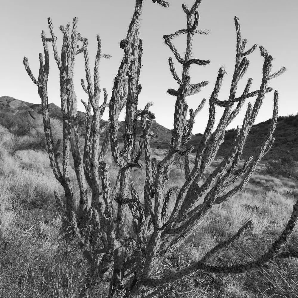 Best Hiking Trails in Los Lunas NM
