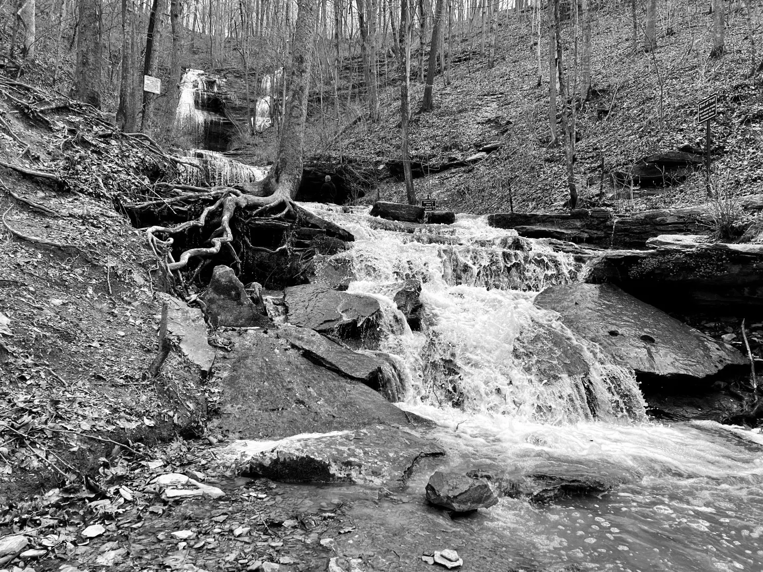 Best Hiking Trails in Louisville KY