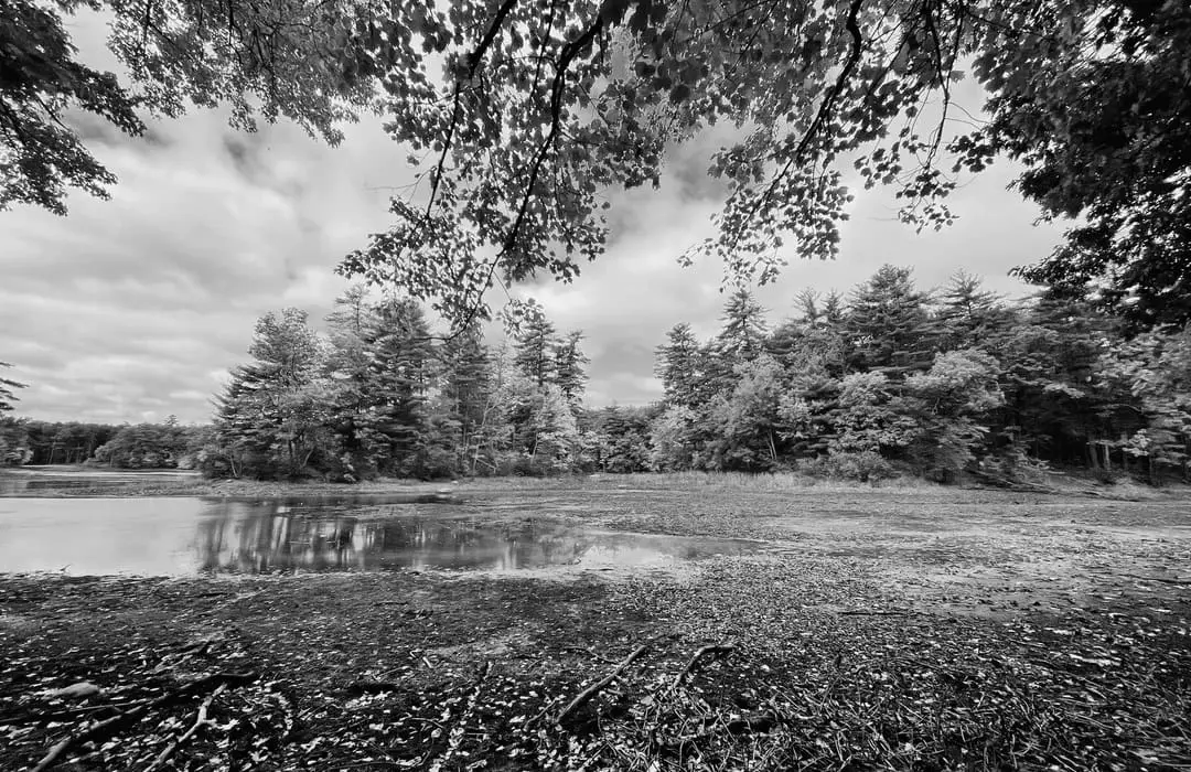 Best Hiking Trails in Manchester NH