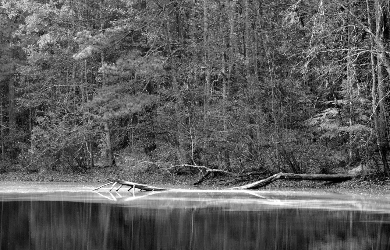 Best Hiking Trails in Marietta GA