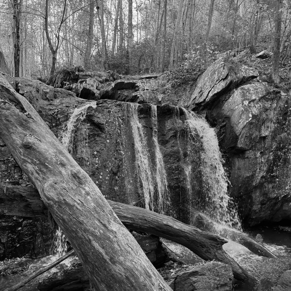 Best Hiking Trails in Middletown PA