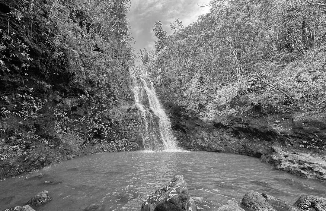 Best Hiking Trails in Mililani Town HI
