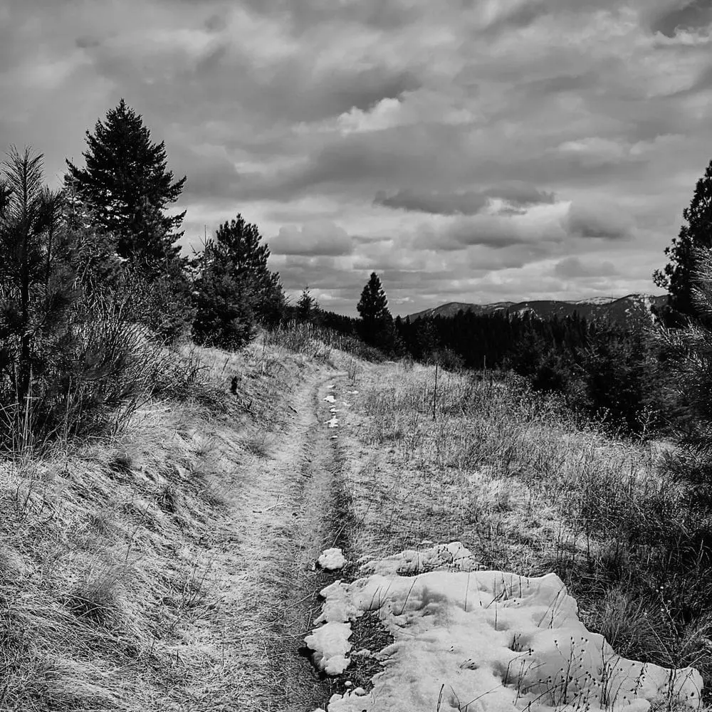 Best Hiking Trails in Missoula MT