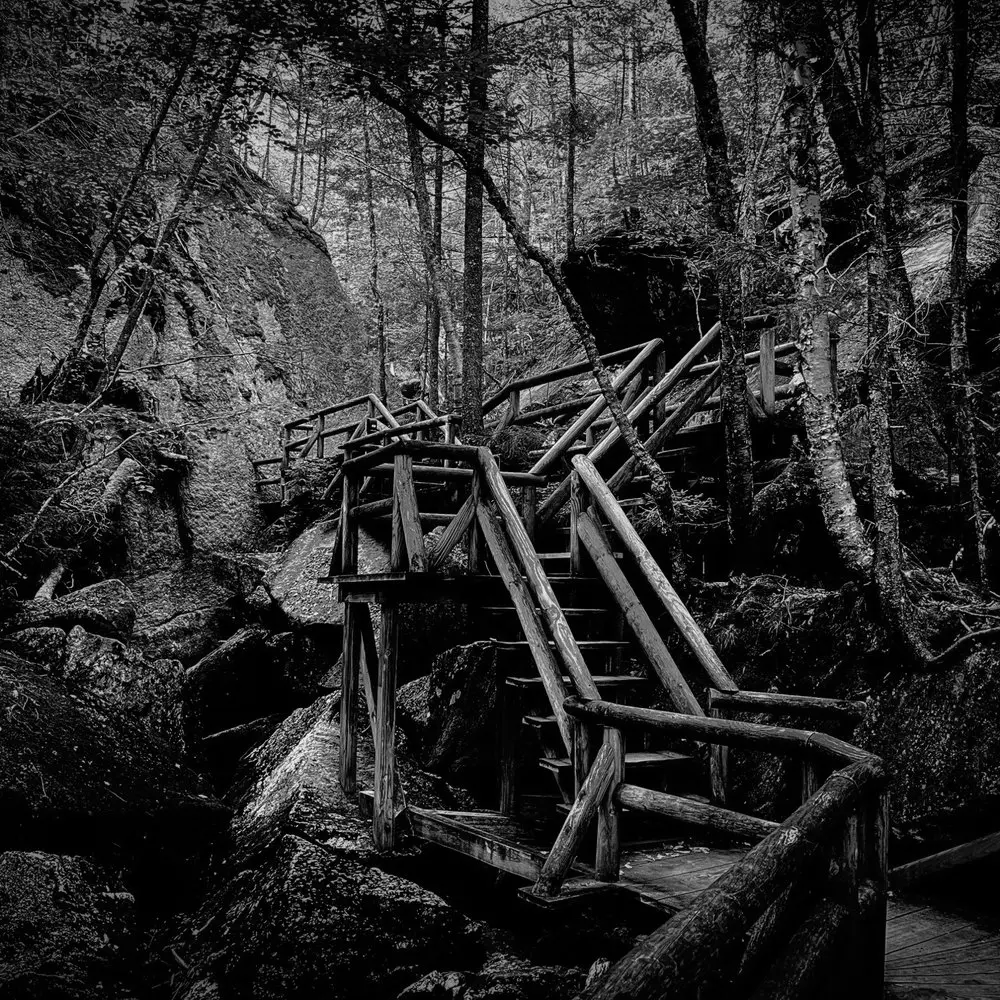 Best Hiking Trails in Montpelier VT