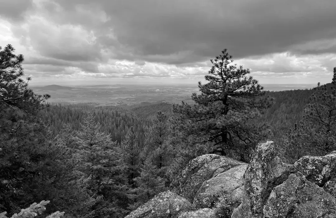 Best Hiking Trails in Moscow ID