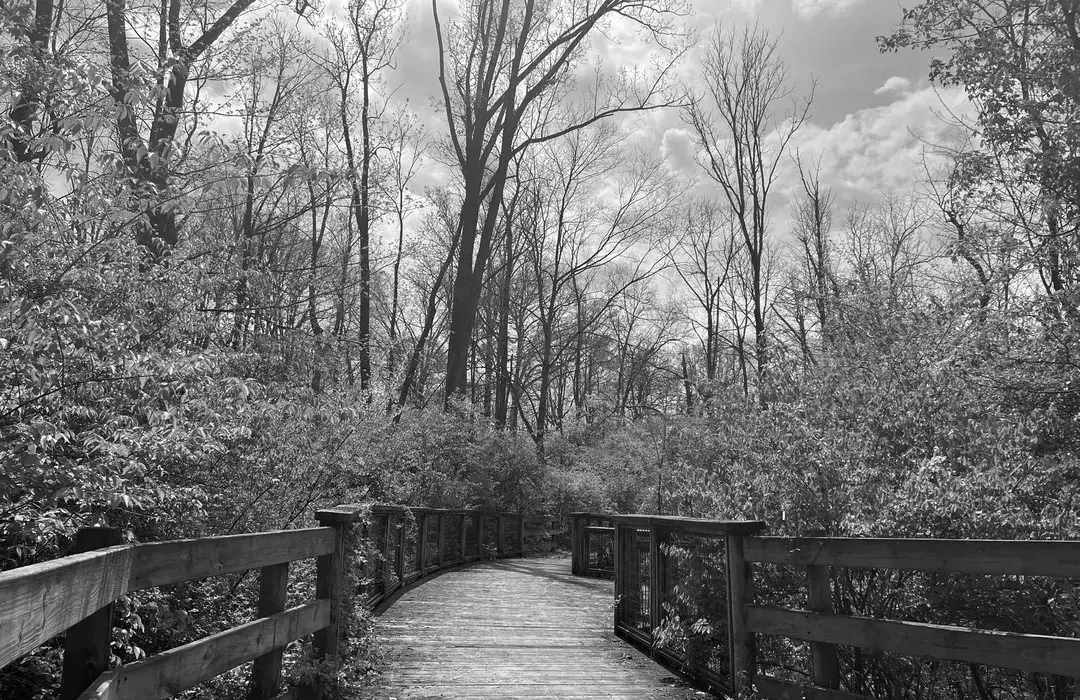 Best Hiking Trails in Muncie IN