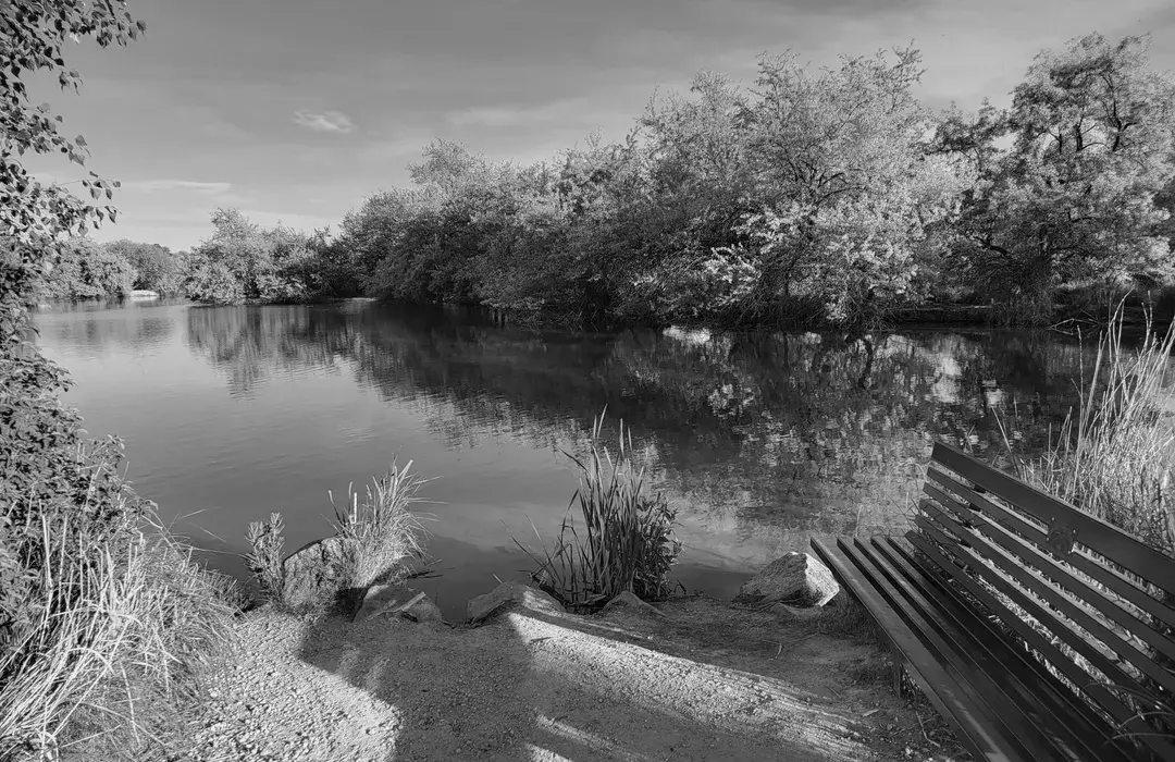 Best Hiking Trails in Nampa ID